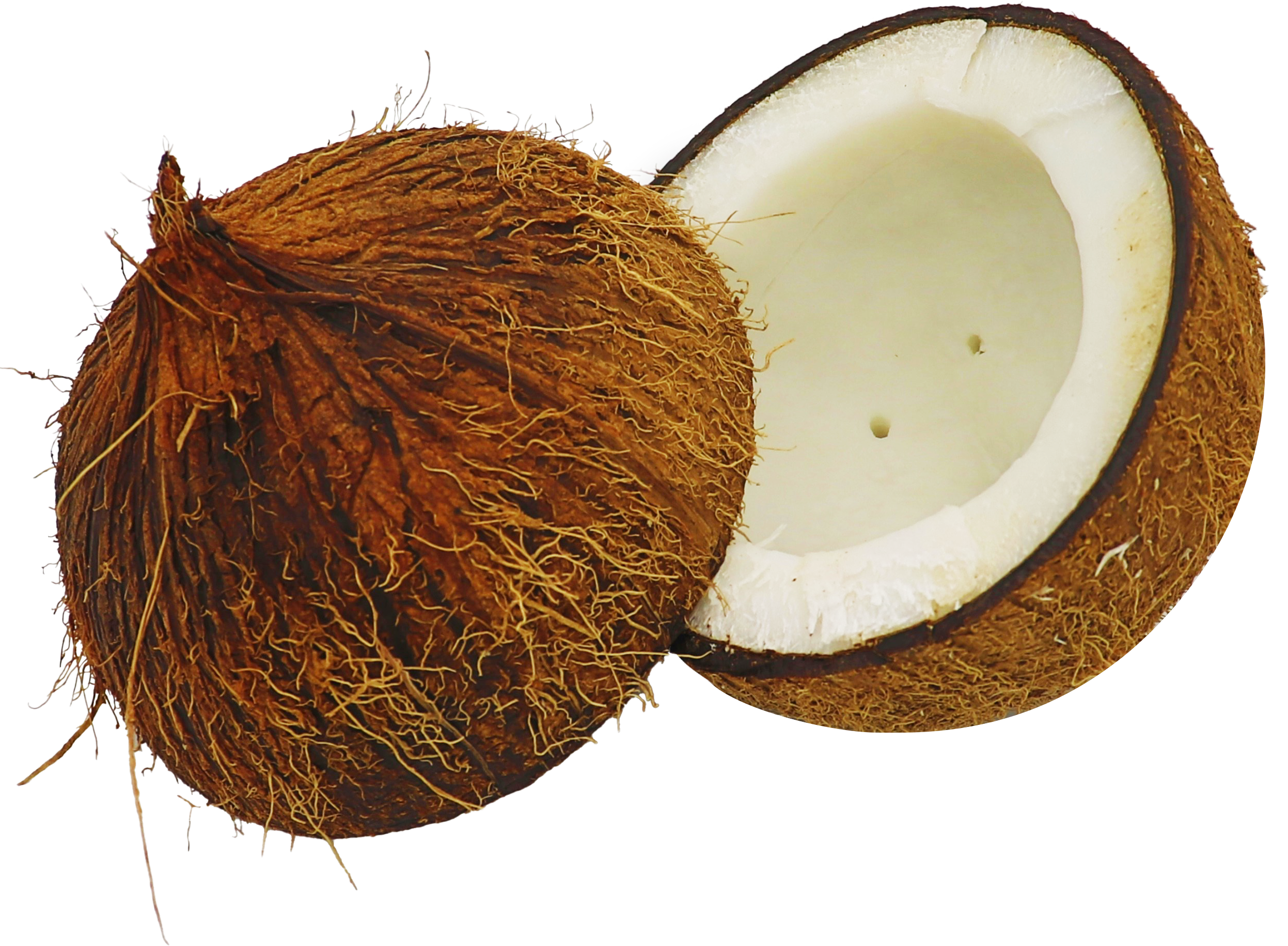 Coconut Blanc