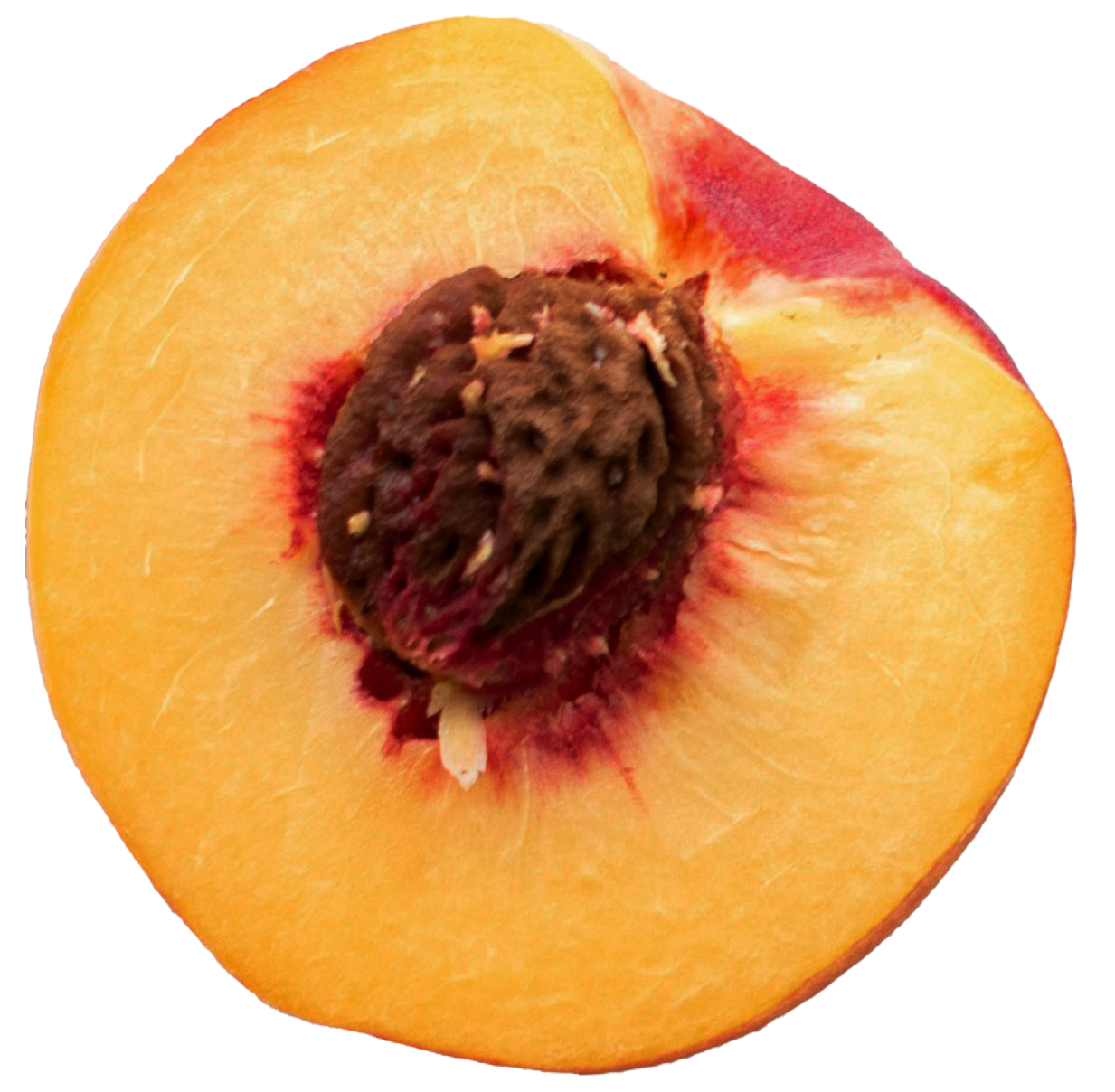 Golden Peach